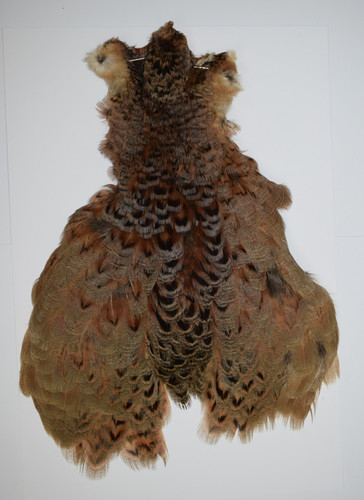 Hen pheasant cape - hen, (2)