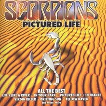 Pictured life scorpions - life,