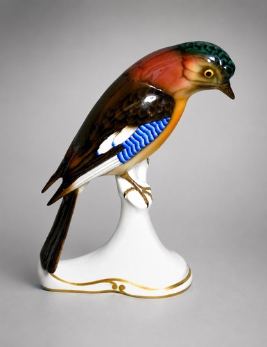 Zeh scherzer bird nut jay - scherzer,