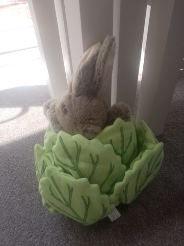 Lettuce rabbit puppet - lettuce,