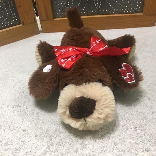 Dan dee laying puppy - dan, dog