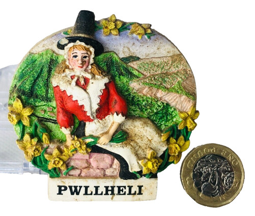 Fridge magnet pwllheli - fridge,