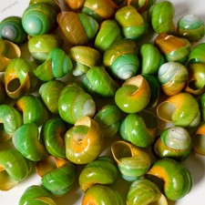 5 pcs Natural Green Asperitas