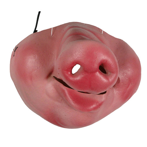 Funny gag pig - funny, face