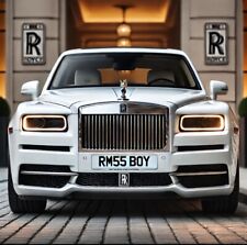 Richard mille 055 Bubba