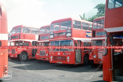 Bus photo hants dorset - dorset, nbc