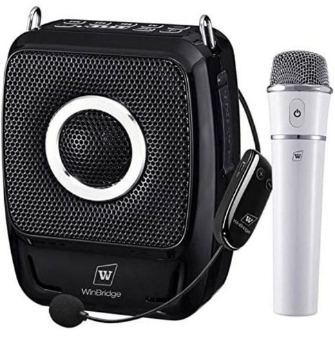 Portable system speaker - pa,