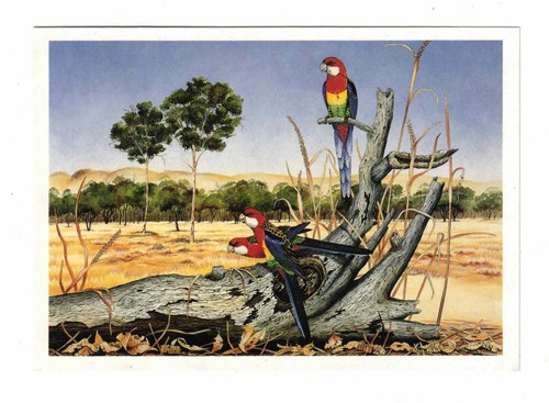 Postcard 1991 p123 eastern - 1991,