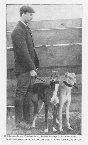 Coursing fearless footsteps - coursing,
