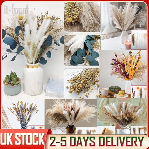 84pc pampas grass natural - 25-84pc,