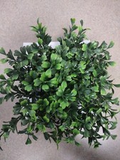 Hagen Fluval Chi Aquarium