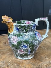 Tiger Leopard Dog Mouth