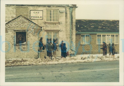 1970 peak district - 1970, cat