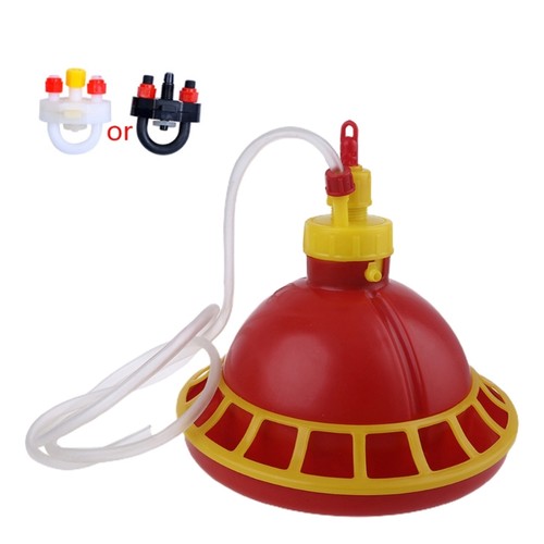 Chicken feeder poultry - feeder, feeding