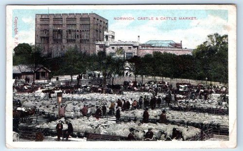 Norwich castle cattle market - norwich,