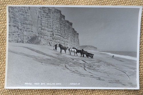 Bridport west bay horses - bay,