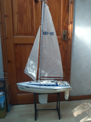 Remote control sailing - remote,