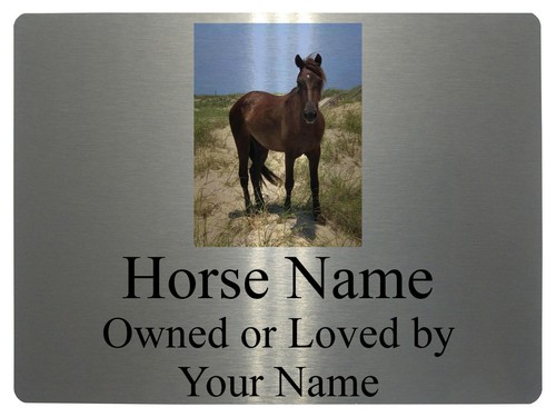 184 personalised horse - personalised, name