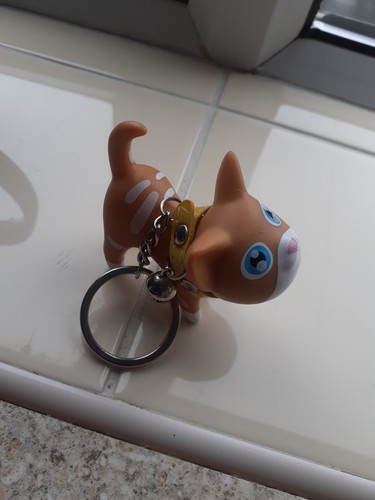 Kitty cafe official - cafe,