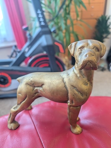 Heavy brass boxer - brass, dog