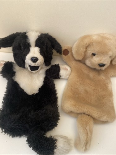 The puppet company dog - dog, hand