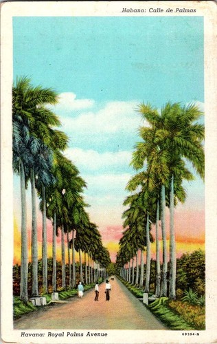Havana cuba postcard royal - havana,