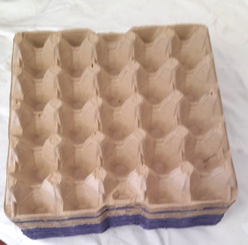 Cardboard egg trays boxes - egg,