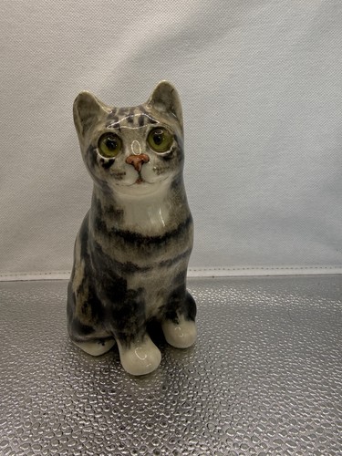 Winstanley tabby cat - cat, sitting