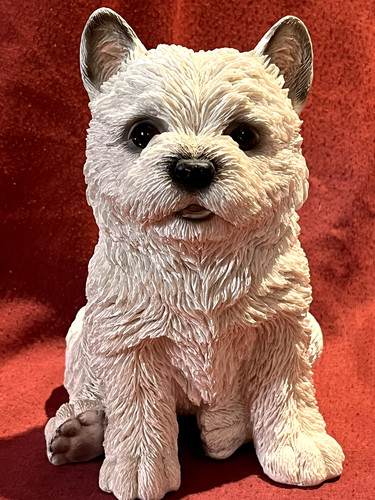 Vivid arts hotant - arts, pet