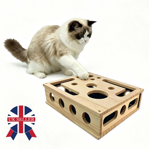 Cat scratch puzzle enrichment - cat,