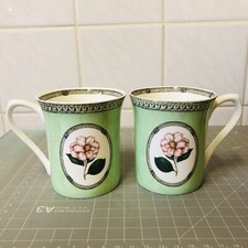 Queen’s Fine Bone China Mug - RHS Royal Horticultural Society -Applebee DOG ROSE