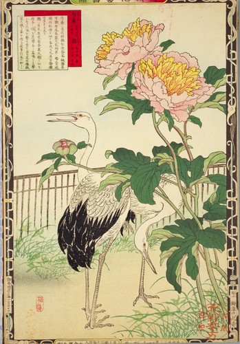 Chinese peony cranes - , vintage