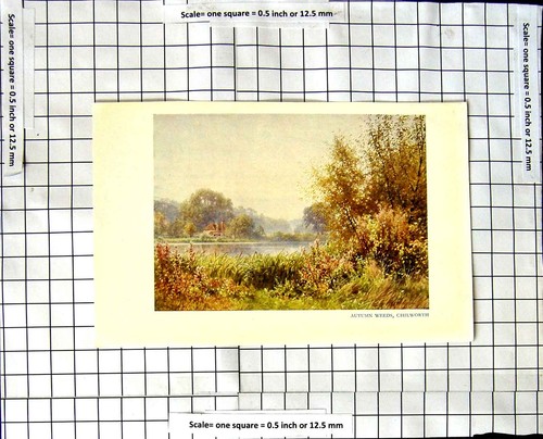 Original old vintage print - original,