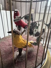 Antique german singing bird cage (rare two bird) Karl GRIESBAUM family air-loom 