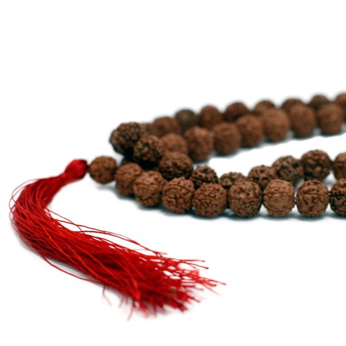 Mala 108 perles rudraksha - mala,