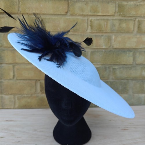 White navy blue feather - , disc