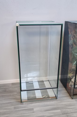 Very large glass reptile - large,