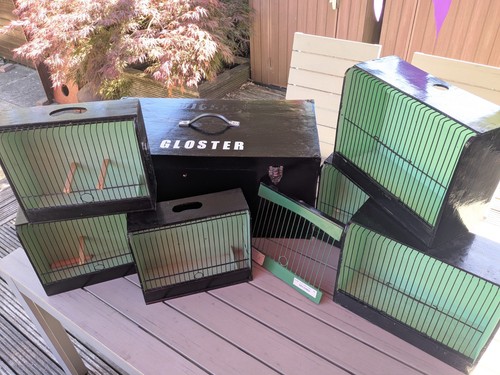 Vintage canary show cages - vintage,