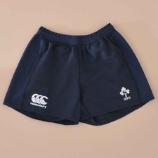 RUGBY IRELAND 2010'S HOME