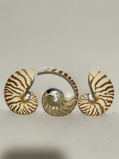 Chambered 3 Piece Cut Tiger