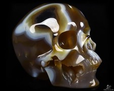 Huge 5.1" Agate Geode Carved