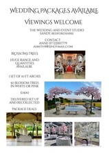 Blossom Tree Hire Weddings And
