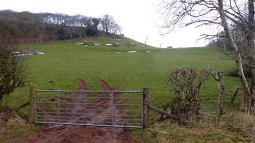 Photo 6x4 pasture land - land, in