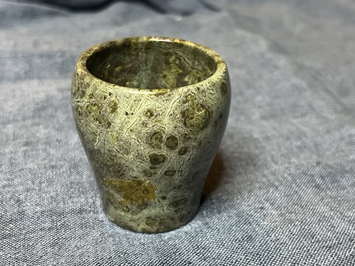 Devonian polished fossil stone - devonian,
