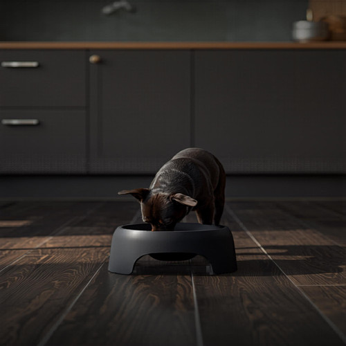 Matte elevated pet bowl stand - elevated,