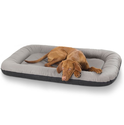 Knuffelwuff faux leather - leather, dog