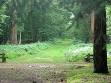 Photo 6x4 ride into poundhill - 6x4,
