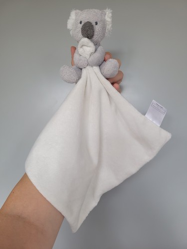 Little white company - company, koala