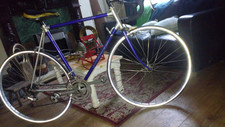 Raleigh Dynatech 400