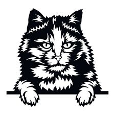 Tortoiseshell Cat Peeking Face